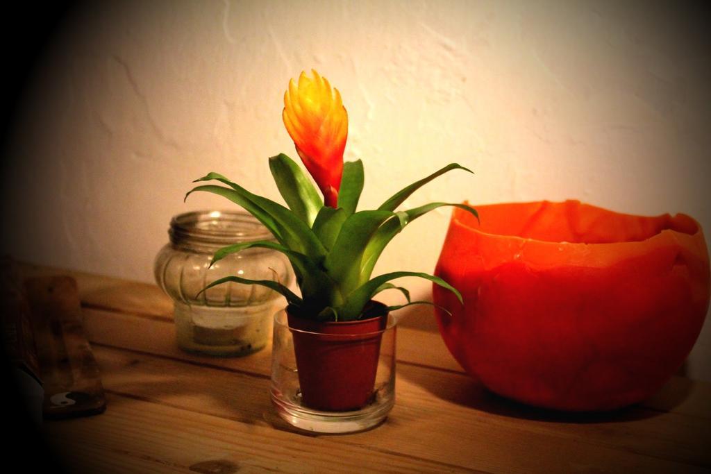 Downtown Hostel Budapest Chambre photo
